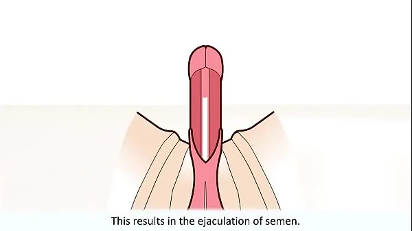 New how to stimulate men energy Tube