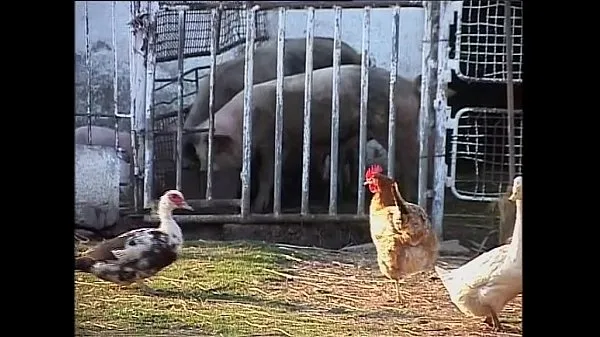 Nouveau Sexe à la ferme 1 tube d'énergie