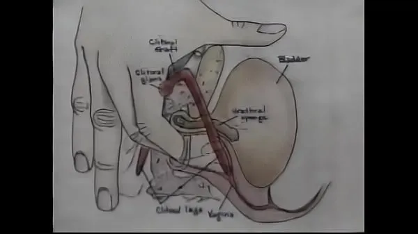 Nuevo Video de entrenamiento de orgasmos de educación sexualtubo de energía